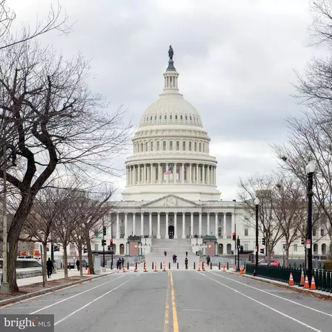 Other - 328 Constitution Ave NE, Washington, DC 20002 photo 13 of 16