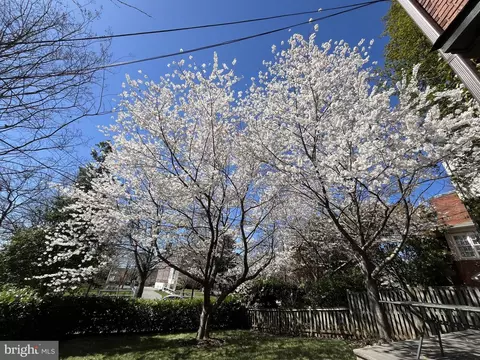 Exterior - 4452 Q St NW, Washington, DC 20007 photo 6 of 6