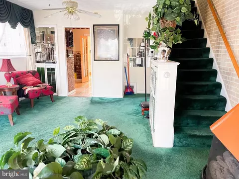 829 Oglethorpe St NE, Washington, DC 20011 photo 4