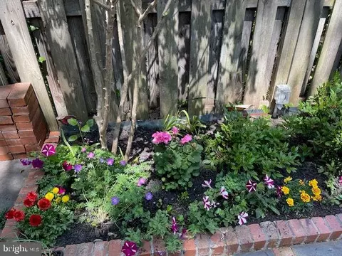 Exterior - 237 10th St SE, Washington, DC 20003 photo 10 of 12