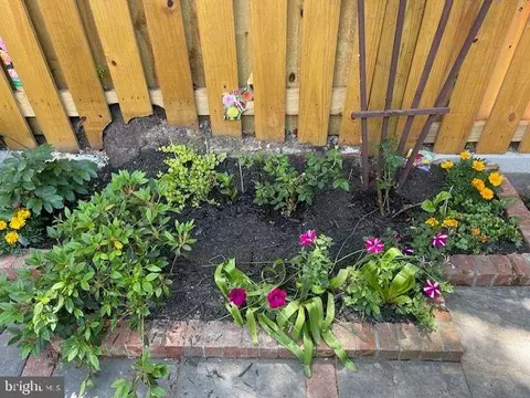 Other - 237 10th St SE, Washington, DC 20003 photo 8 of 11