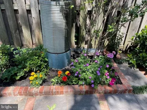 Exterior - 237 10th St SE, Washington, DC 20003 photo 11 of 12