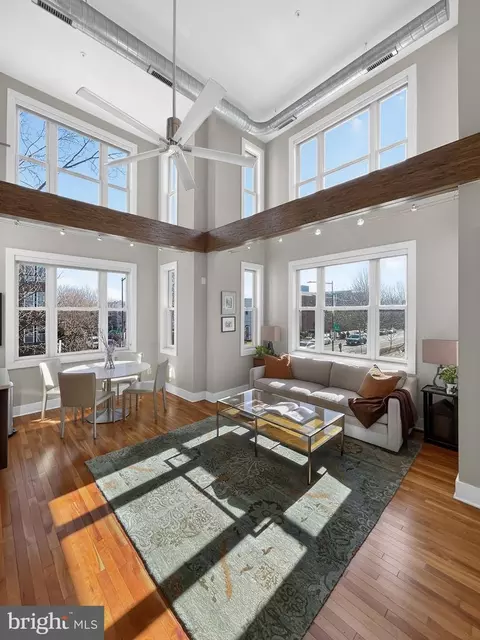 257 15th St SE #B, Washington, DC 20003 photo 4