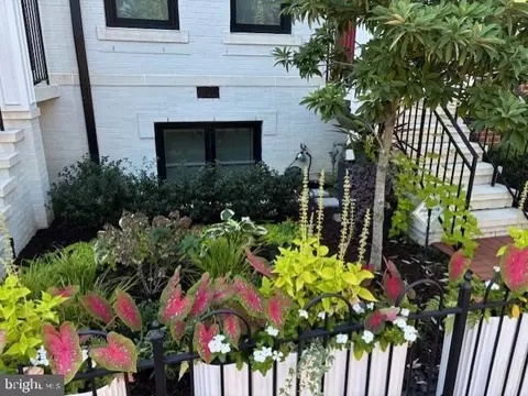Exterior - 1305 D St SE, Washington, DC 20003 photo 4 of 5