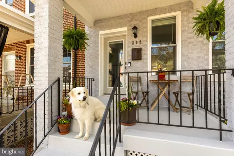 209 Cromwell Ter NE, Washington, DC 20002 photo 2