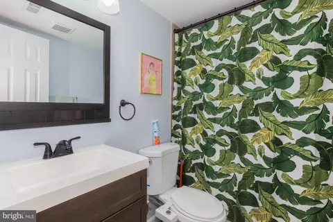 Bath - 312 Bryant St NE, Washington, DC 20002 photo 7 of 8