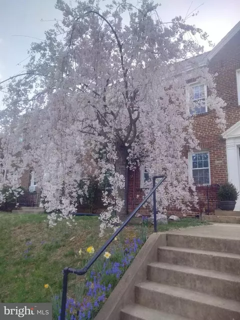 2228 40th St NW #1, Washington, DC 20007