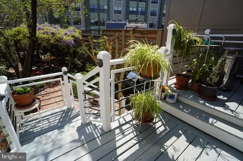 Exterior - 1233 E St SE, Washington, DC 20003 photo 10 of 13
