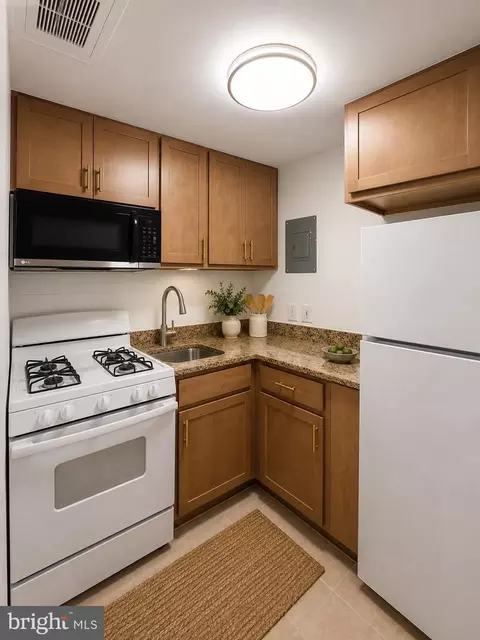 Kitchen - 313 C St SE, Washington, DC 20003 photo 6 of 6