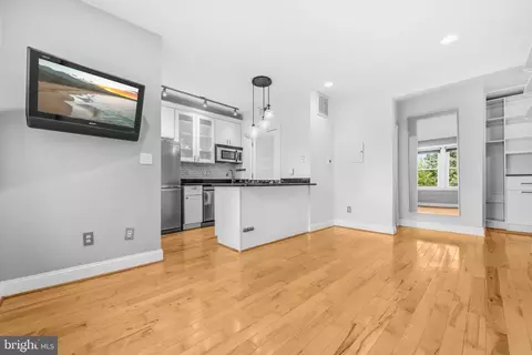 Living - 610 3rd St SE #1, Washington, DC 20003 photo 2 of 3