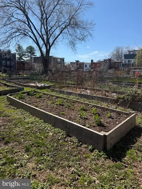 Other - 2029 E Ne NE, Washington, DC 20002 photo 11 of 11