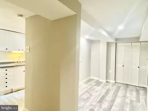 Entry Way - 1351 A St NE, Washington, DC 20002 photo 3 of 4
