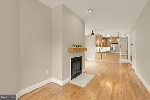 Living - 1447 E Capitol St SE #2, Washington, DC 20003 photo 3 of 12