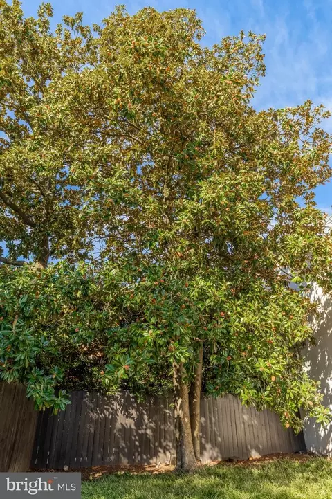 Other - 1510 26th St NW, Washington, DC 20007 photo 13 of 17