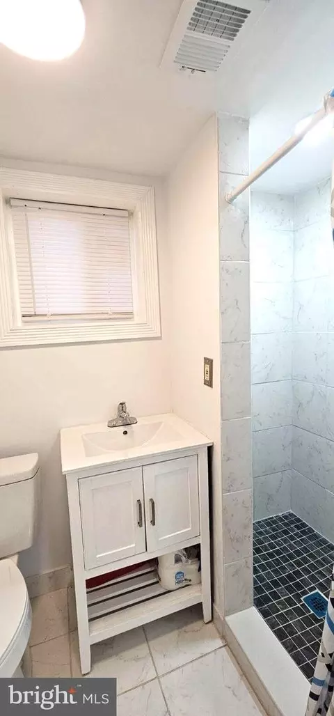 Bath - 1229 Savannah Pl SE, Washington, DC 20032 photo 4 of 4