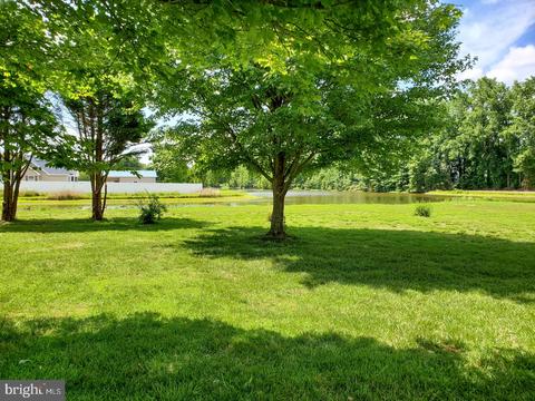 227 Tall Tree Ct, Dover, DE 19904 photo 25