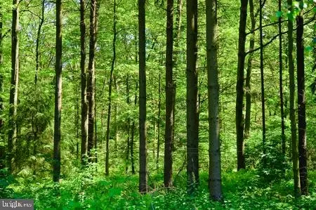  1317 White Oak Rd, Dover, DE 19901 photo 1