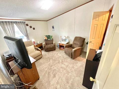209 Persimmon Cir E, Dover, DE 19901 photo 16