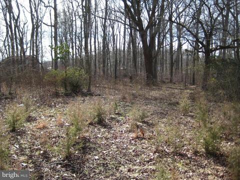 4180 Pearsons Corner Rd, Cheswold, DE 19904