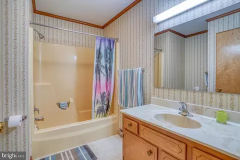 259 Beechwood Ave, Dover, DE 19901 photo 21