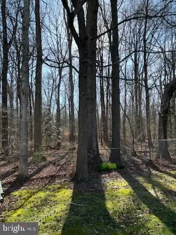 36 Ardsley Dr, Dover, DE 19904 photo 29