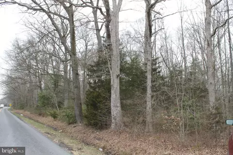 742 Pine Tree Rd, Hartly, DE 19953