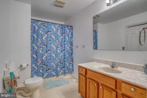 Bath - 103 Allan Ave, Viola, DE 19979 photo 2 of 2