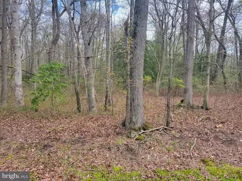 1 9 Acres Grygo Rd, Marydel, DE 19964