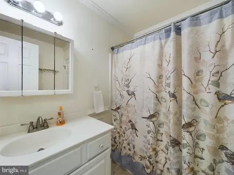 Bath - 103 Birchfield Dr, Dover, DE 19904 photo 3 of 5