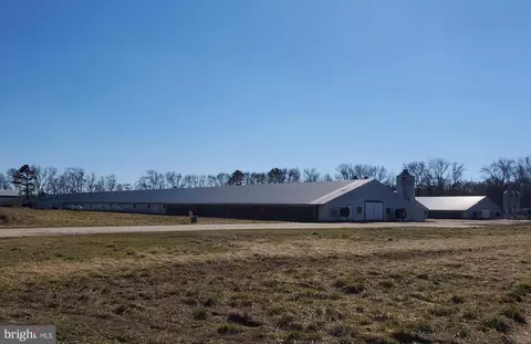 2159 Tower Rd, Hartly, DE 19953 photo 18