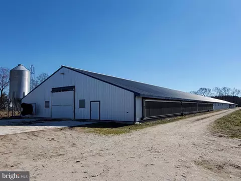 2159 Tower Rd, Hartly, DE 19953 photo 14