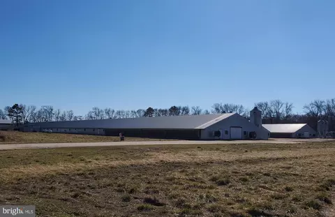 2159 Tower Rd, Hartly, DE 19953 photo 10