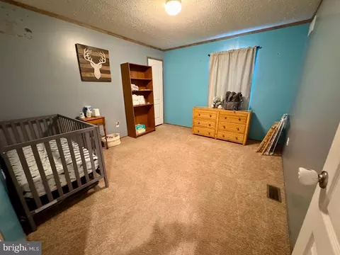 283 Lobo Rd, Harrington, DE 19952 photo 33