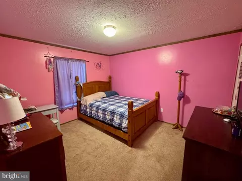 283 Lobo Rd, Harrington, DE 19952 photo 23