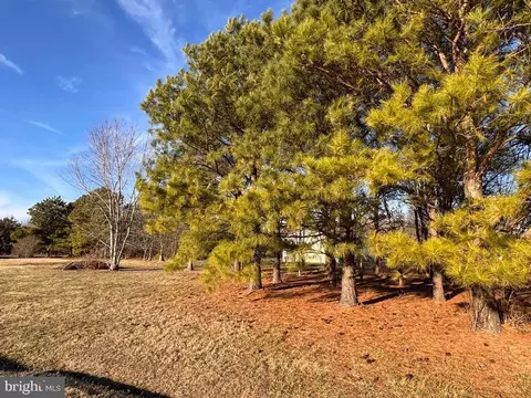 283 Lobo Rd, Harrington, DE 19952 photo 11