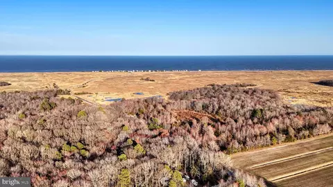 989 Pickering Beach Rd, Dover, DE 19901 photo 9
