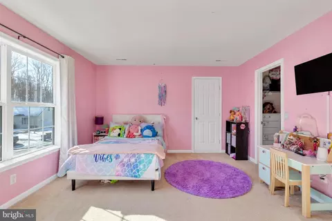 13 Split Oak Dr, Felton, DE 19943 photo 31