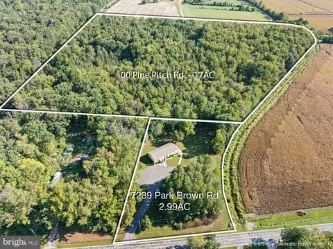 0 Pinepitch Rd, Harrington, DE 19952