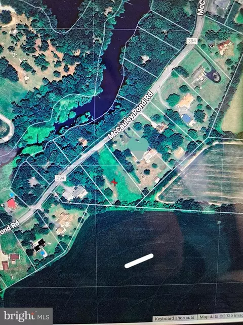 lot8 Mccauley Pond Rd, Harrington, DE 19952