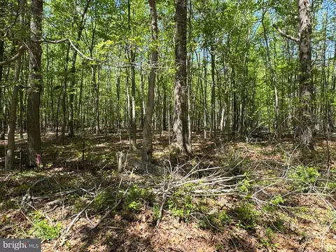 Other - 2389 White Oak Rd, Dover, DE 19901 photo 13 of 17