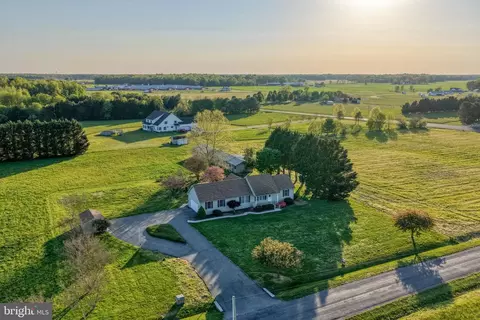 View/Area - 1663 White Marsh Branch Rd, Harrington, DE 19952 photo 4 of 11