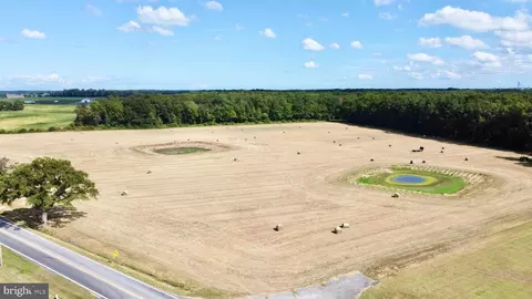 lot2 Hopkins Cemetery Rd, Harrington, DE 19952 photo 6