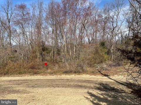 229 Raleigh Mitchell Ln, Townsend, DE 19734 photo 1