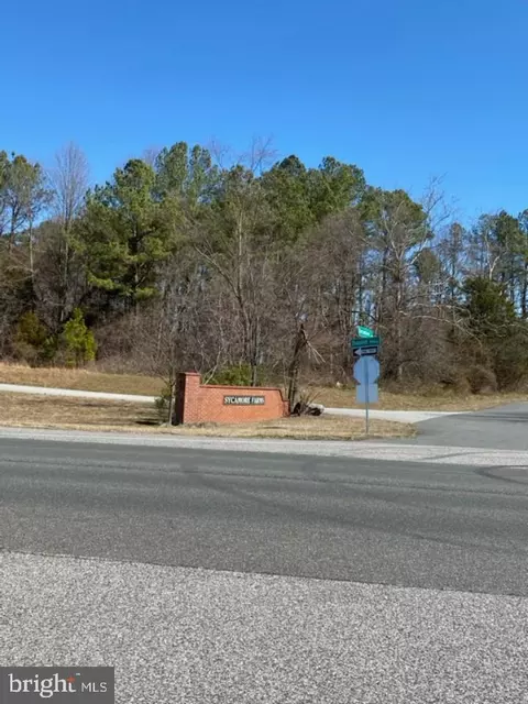 9 Pine Cir, Townsend, DE 19734