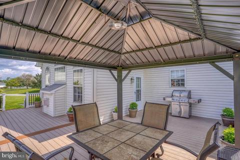 302 Senator Dr, Middletown, DE 19709 photo 45