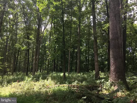 153 Gum Bush Rd, Townsend, DE 19734