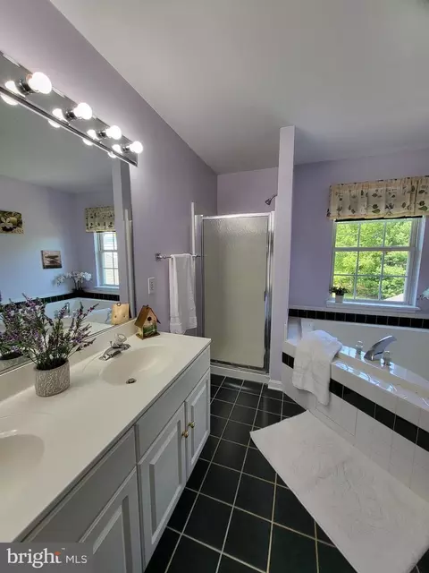 Bath - 209 Ernest Dr, Middletown, DE 19709 photo 1 of 4