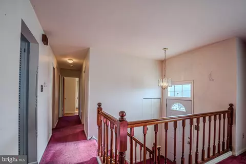 12 Alwyn Rd, Newark, DE 19713 photo 5