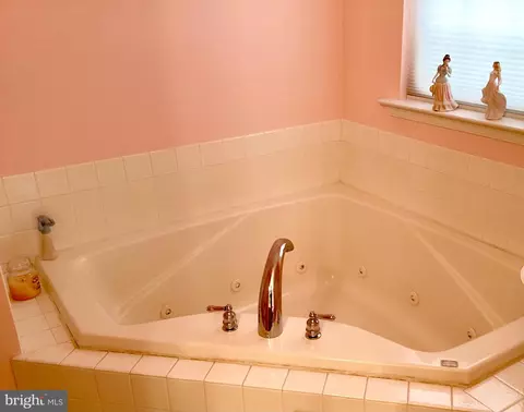 Bath - 284 E Flagstone Dr, Newark, DE 19702 photo 3 of 4