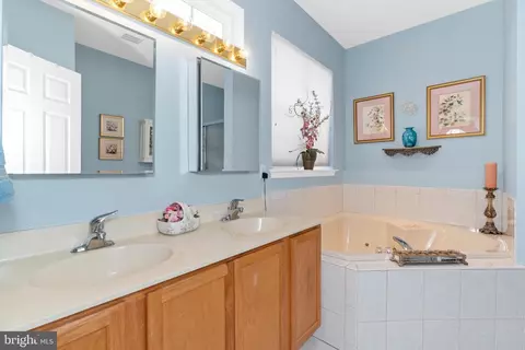 Bath - 113 Springmill Dr, Middletown, DE 19709 photo 2 of 4